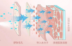 化妆品促渗透技术简述