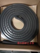 吉林止水条生产厂家