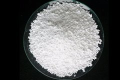 西区：开拓产业发展新路径