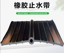 橡胶止水带 中埋式橡胶止水带 外贴式背贴式